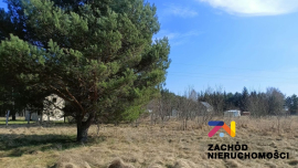 Działka rekreacyjna w pobliżu jeziora Rybojady